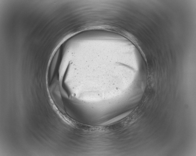 X0000054380811200508270006