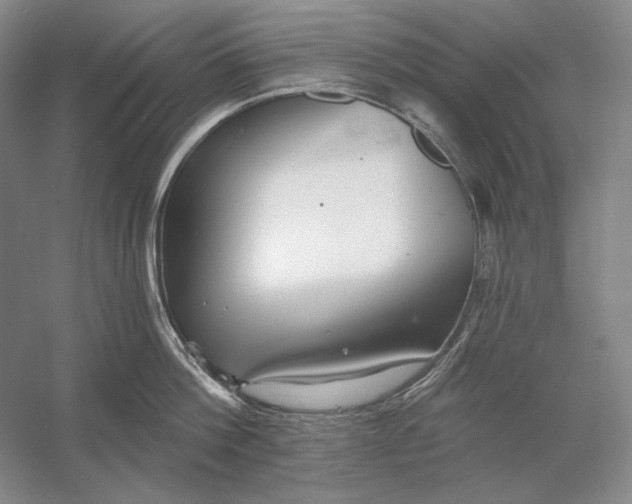 X0000054380812200508270006