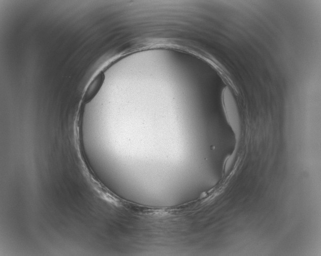 X0000054380814200508270006