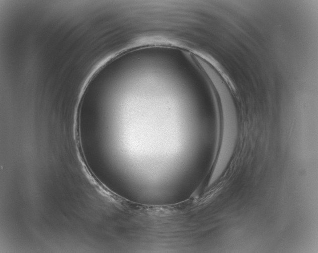 X0000054380815200508270006