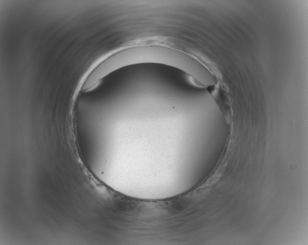 X0000054380816200508270006