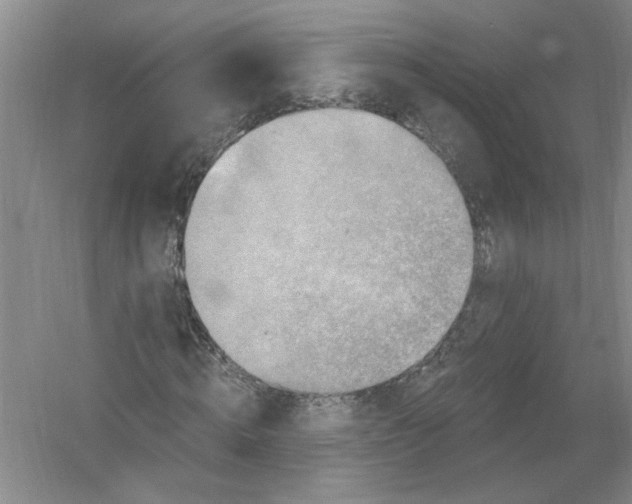 X0000054380820200508270005