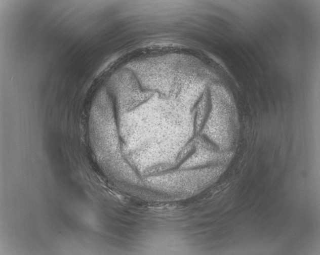 X0000054380823200508270005