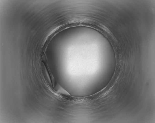 X0000054380826200508270005