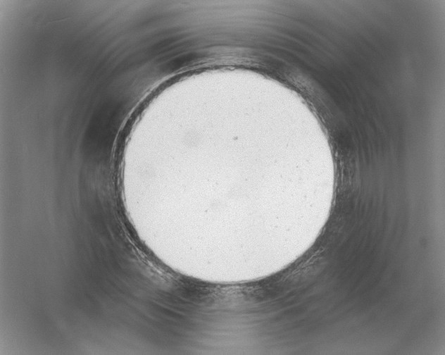 X0000054380828200508270005