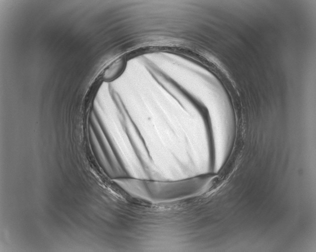 X0000054380829200508270005