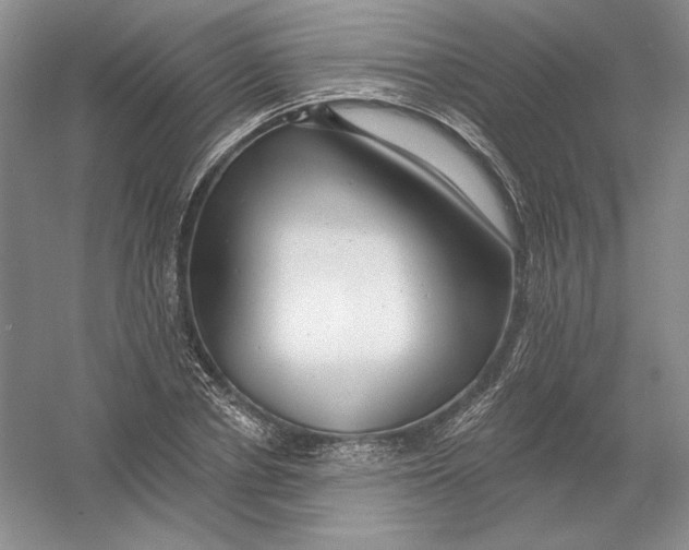 X0000054380834200508270005