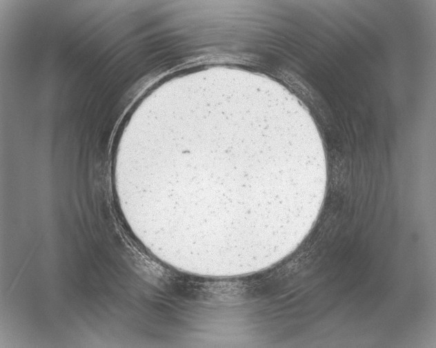 X0000054380836200508270005