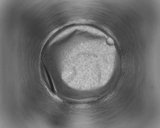 X0000054380837200508270005