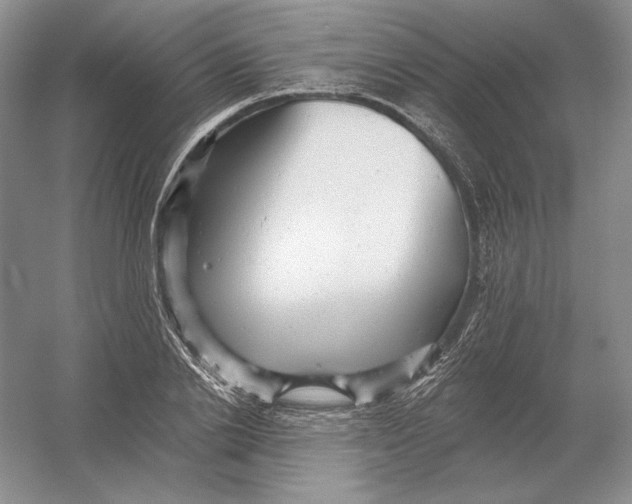 X0000054380838200508270005