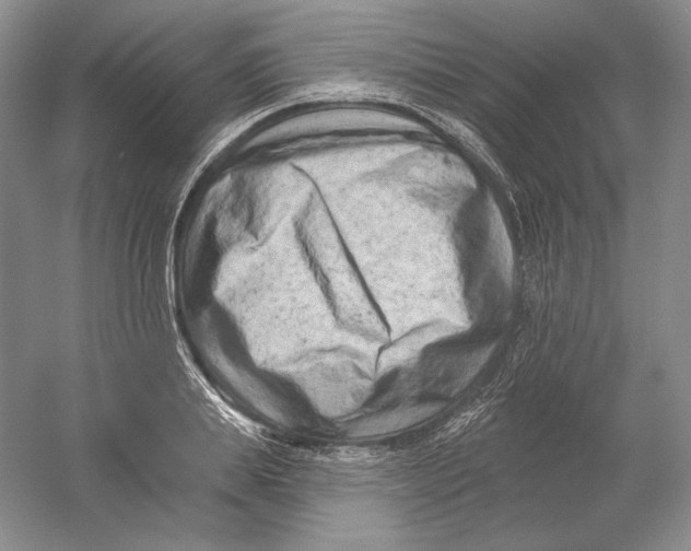 X0000054380839200508270005