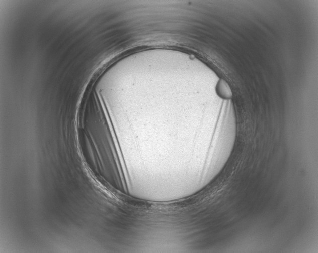 X0000054380840200508270005