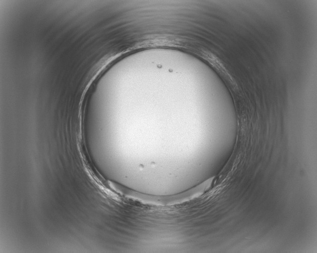 X0000054380844200508270005