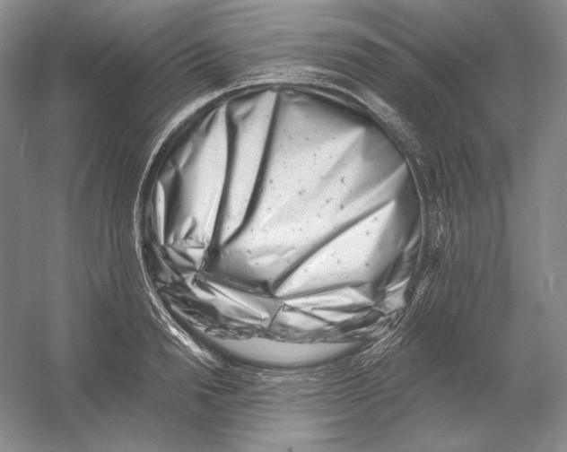 X0000054380846200508270005