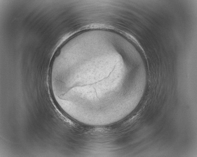 X0000054380847200508270005