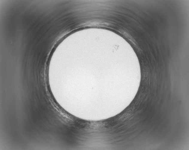 X0000054380848200508270005