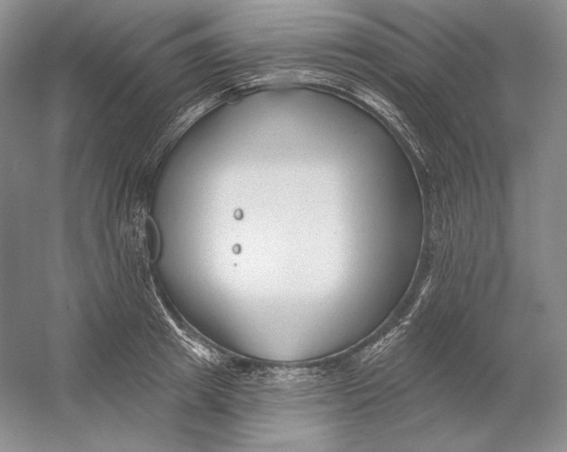 X0000054380849200508270005