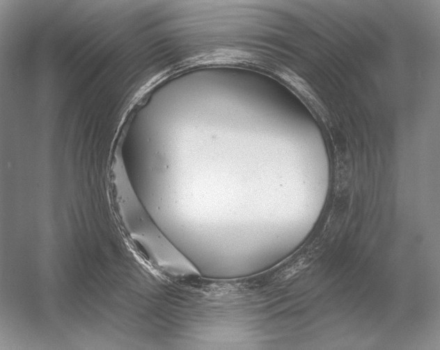 X0000054380850200508270005