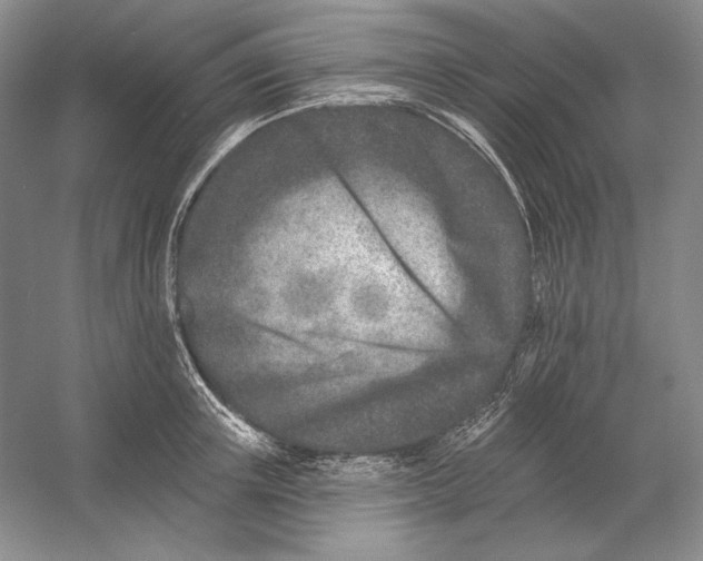 X0000054380851200508270005