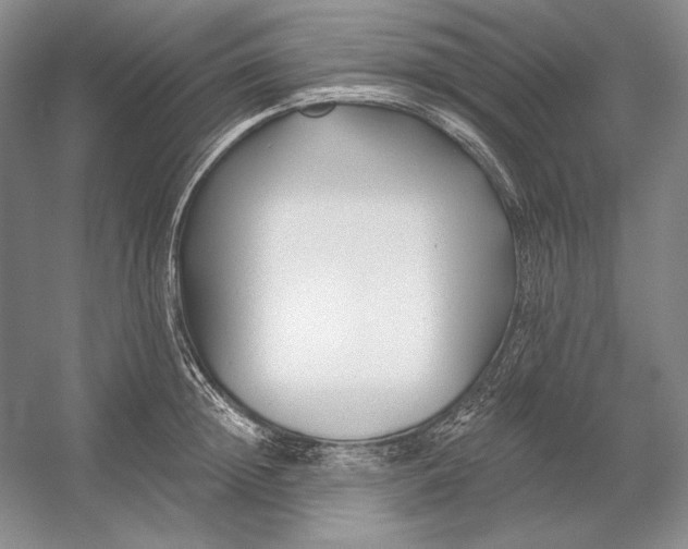 X0000054380852200508270005