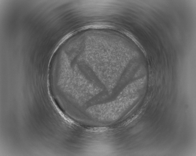 X0000054380853200508270005