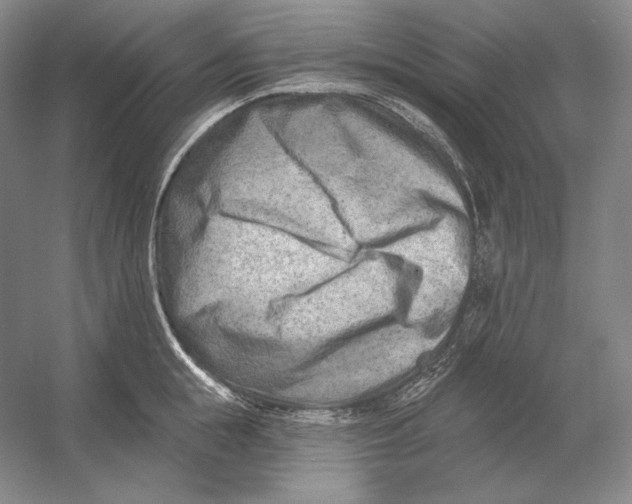 X0000054380855200508270005