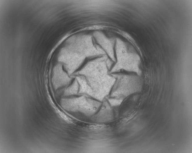 X0000054380859200508270006