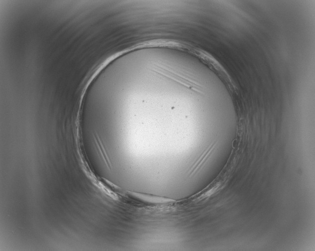 X0000054380860200508270006