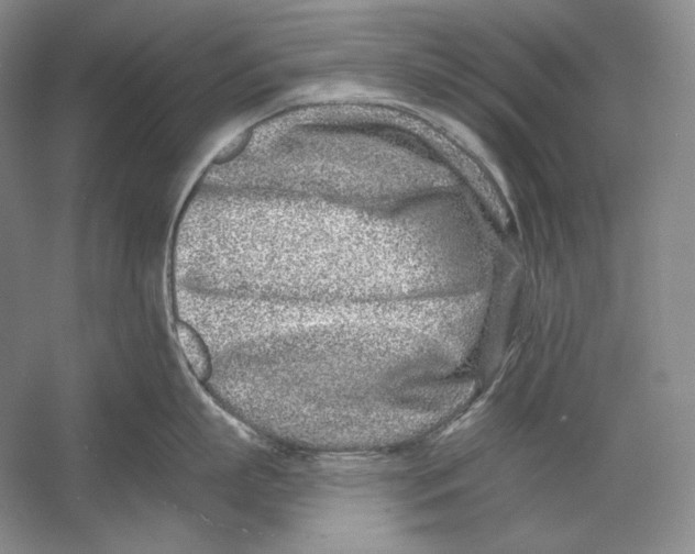 X0000054380863200508270006