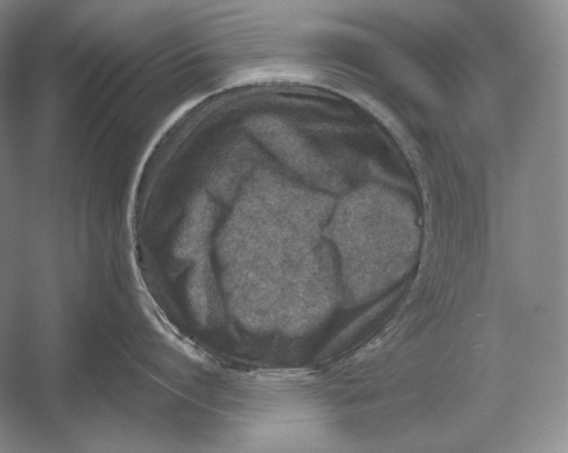 X0000054380864200508270006