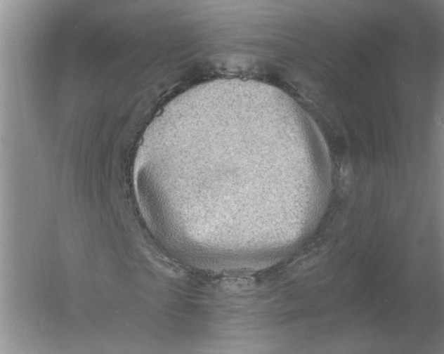 X0000054380865200508270005