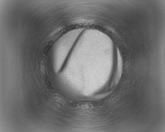 X0000054380869200508270005