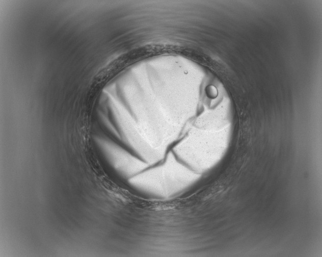 X0000054380870200508270005