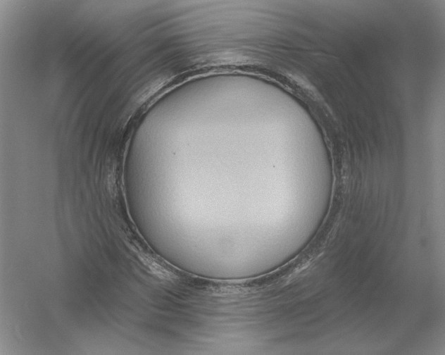 X0000054380873200508270005