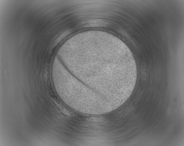 X0000054380874200508270005