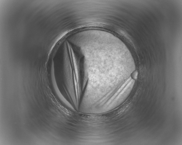 X0000054380875200508270005