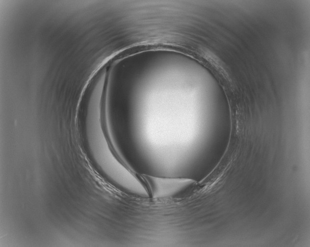 X0000054380876200508270005