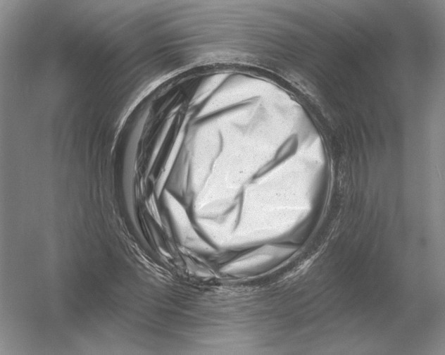 X0000054380877200508270005