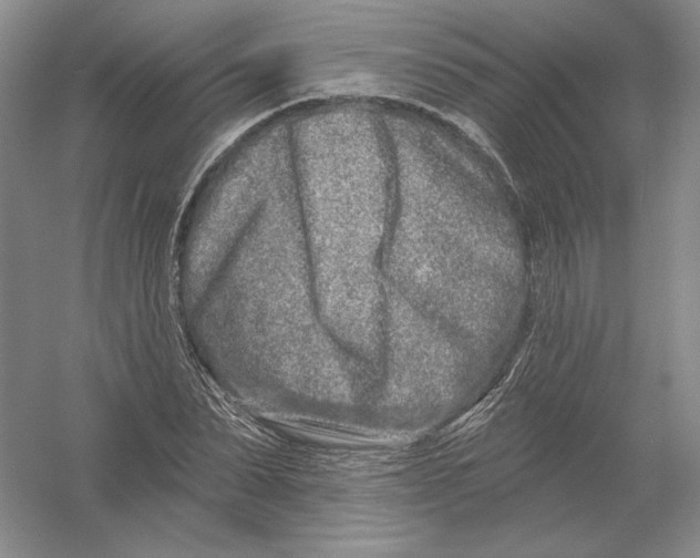 X0000054380879200508270005