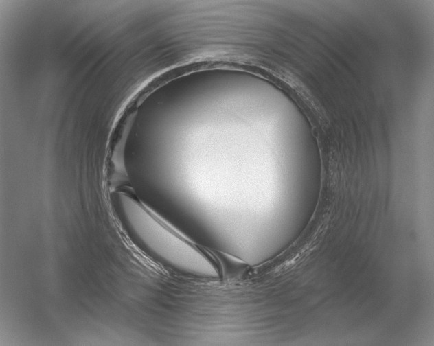 X0000054380880200508270005