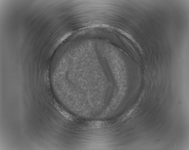 X0000054380881200508270004