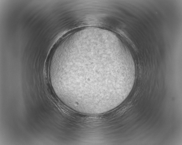 X0000054380883200508270004