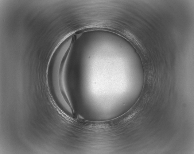 X0000054380884200508270004