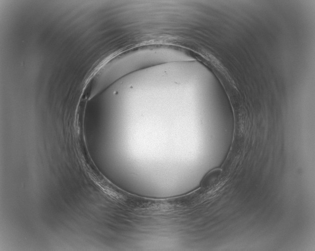 X0000054380885200508270004