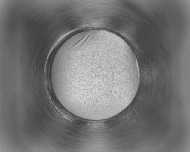 X0000054380886200508270004