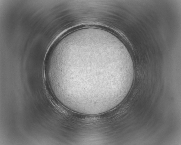 X0000054380887200508270004