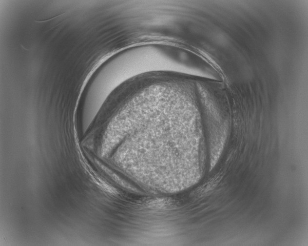 X0000054380891200508270004