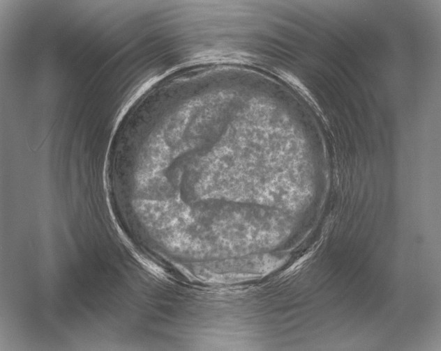 X0000054380893200508270004