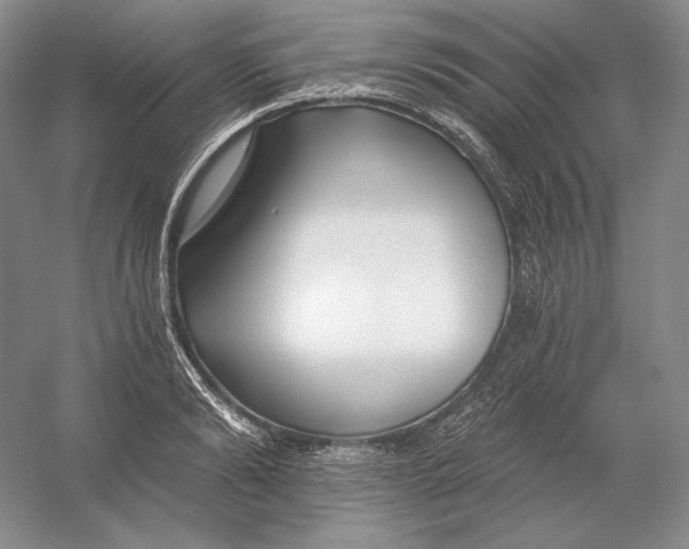 X0000054380894200508270004