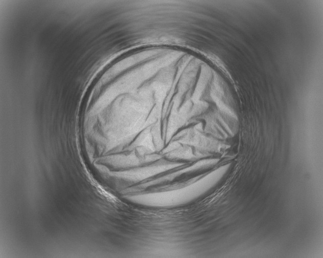 X0000054380895200508270004